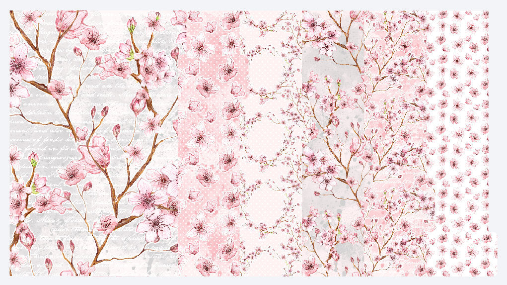 Cherry Blossoms