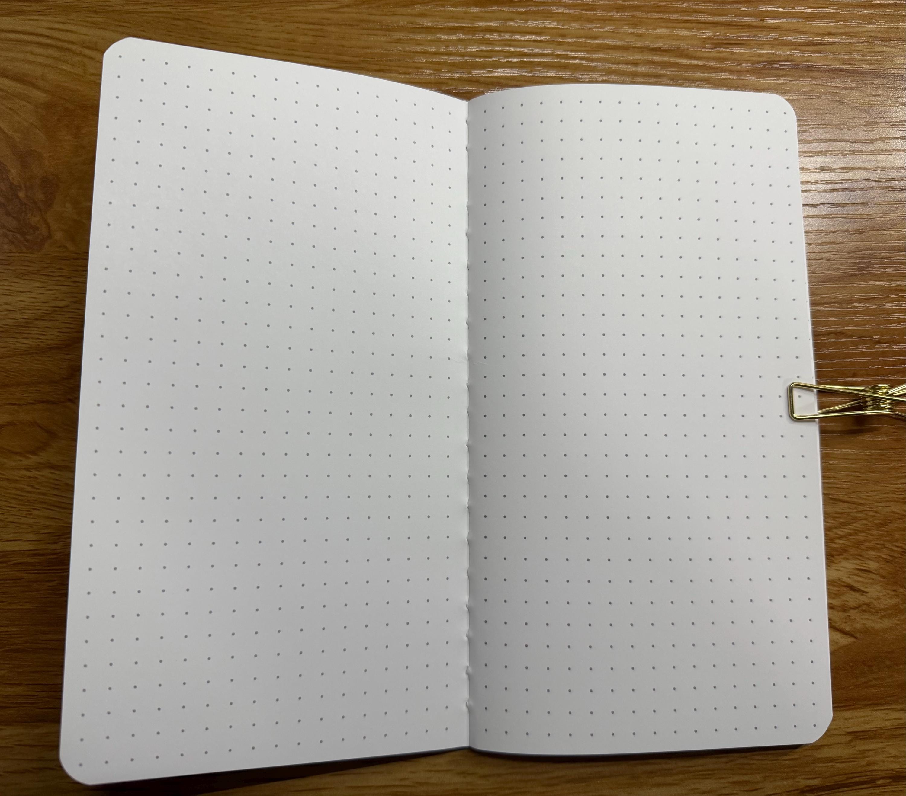 APRIL Ready to Ship Narrow Dot Grid Hobo Weeks Style Monthly Planner