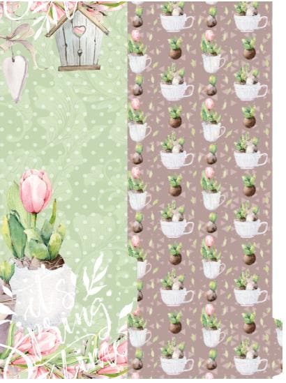 Spring is in the Air