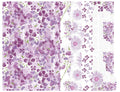 Spring Violets 1