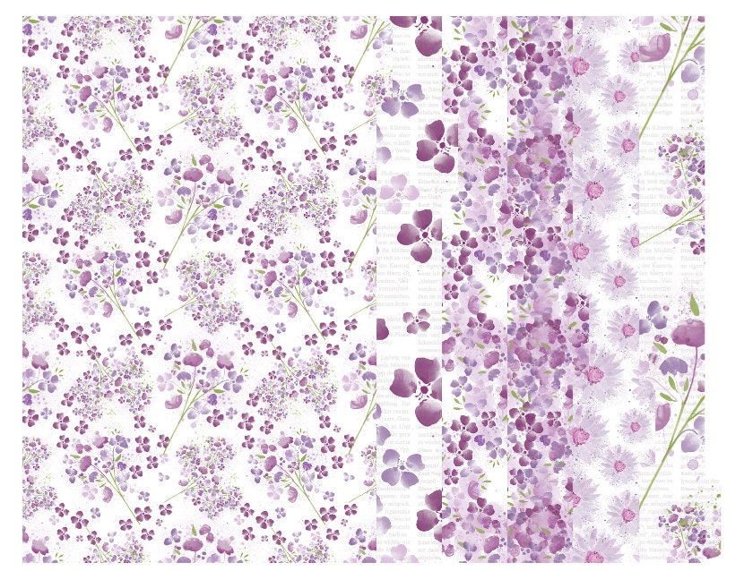 Spring Violets 2